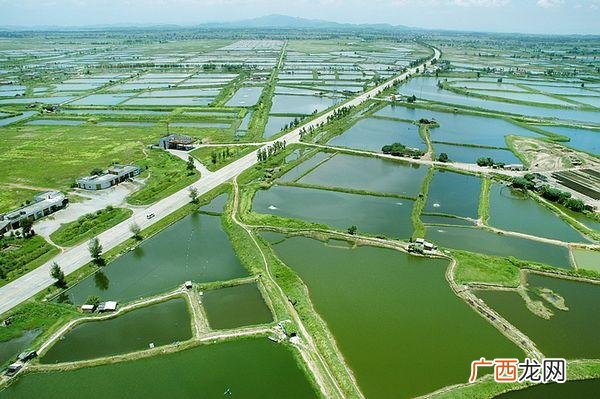 养殖水产品有哪些 水产品养殖期