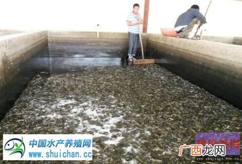 养殖水产品有哪些 水产品养殖期