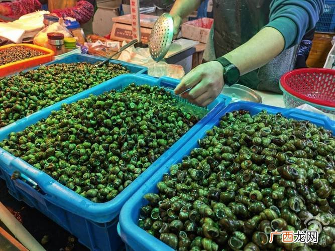 苏州市南环社区卫生服务中心简介 苏州市南环水产批发螺蛳