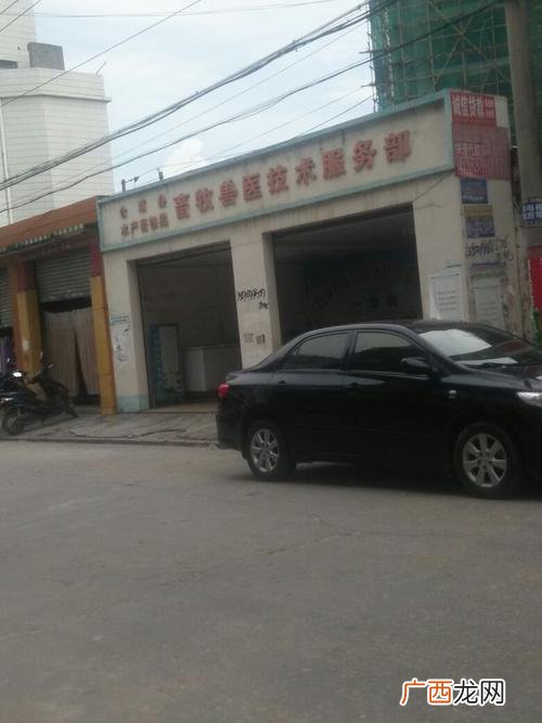 武义站和武义北站区别 武义 水产站 站长
