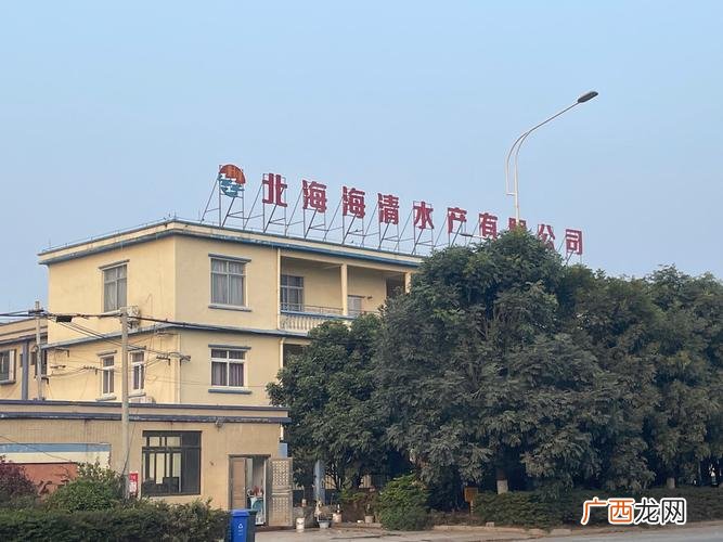 湛江西站到东南码头 湛江粤海水产种苗有限公司北海基地