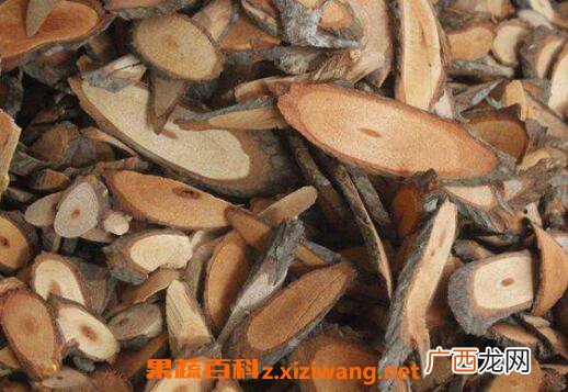 虎爪风的功效与作用 中药虎爪风的药用价值