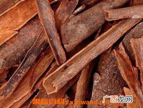 如何用桂皮泡酒 桂皮泡酒的方法