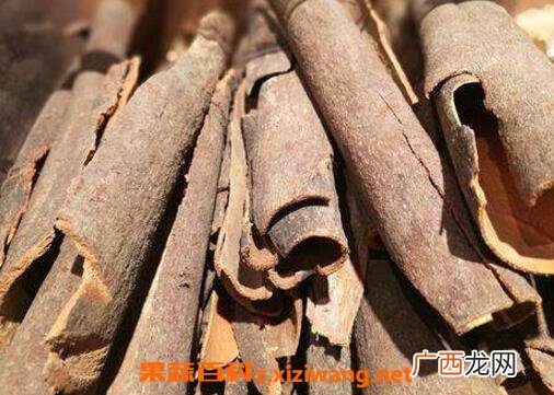 如何用桂皮泡酒 桂皮泡酒的方法