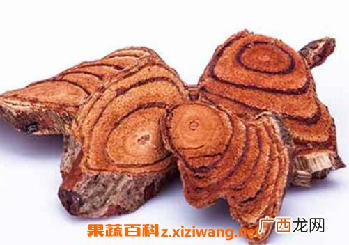 血藤泡酒的功效与作用