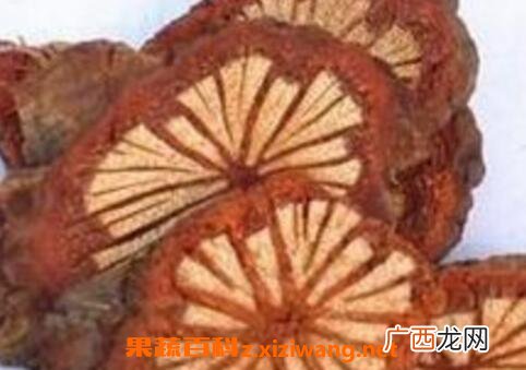 血藤泡酒的功效与作用
