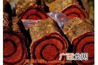 中药鸡血藤的功效与作用