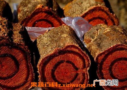 中药鸡血藤的功效与作用