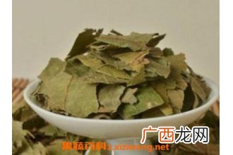 布渣叶的功效与作用及食用方法