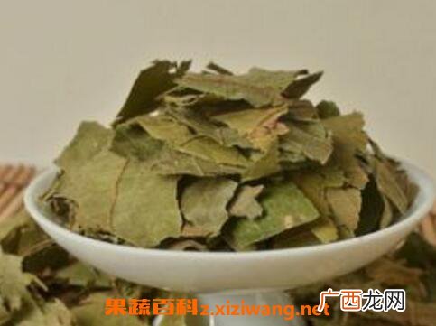 布渣叶的功效与作用及食用方法
