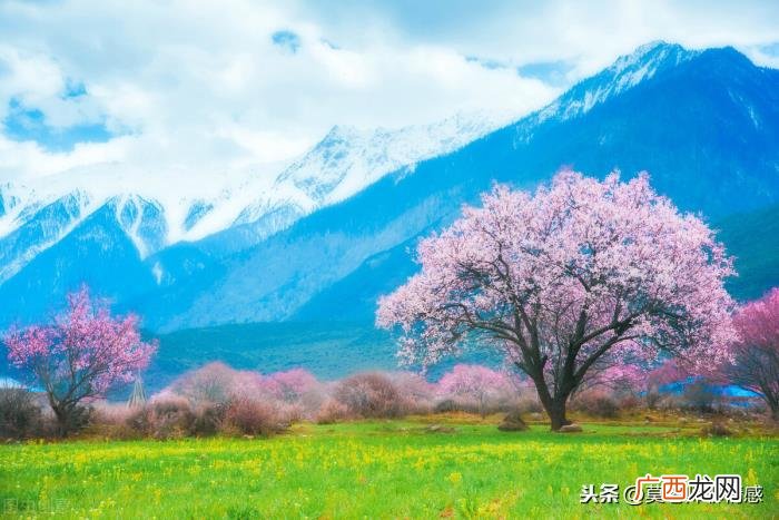 高情商撩不回信息的女生，高情商对付不回信息的女人