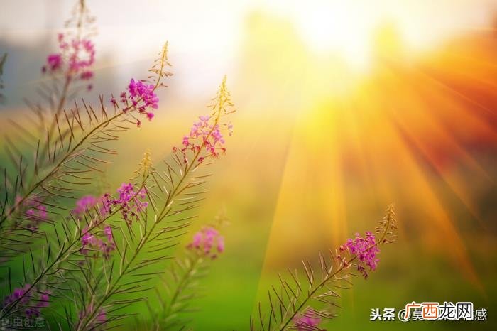 高情商撩不回信息的女生，高情商对付不回信息的女人