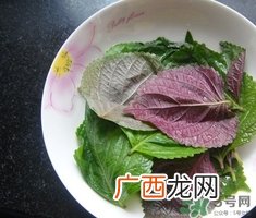 紫苏叶可以泡脚吗?苏子叶泡酒有什么功效