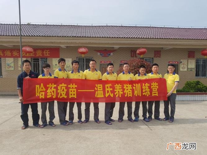 温氏生猪代养合作方式 温氏养猪技术