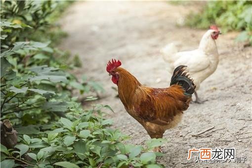 贵州创业什么最合适,现在什么行业投资小利润大