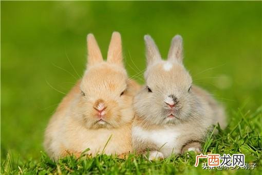 贵州创业什么最合适,现在什么行业投资小利润大