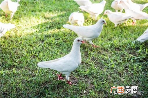 贵州创业什么最合适,现在什么行业投资小利润大