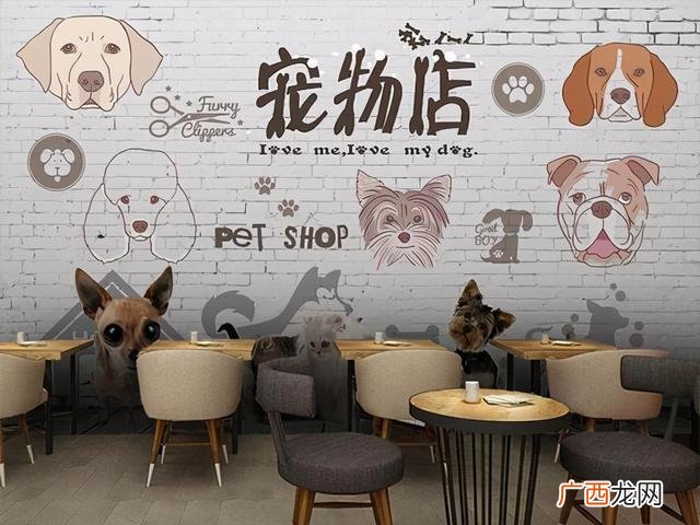 适合女生开的店投资小利润大,最新适合女生投资小的生意