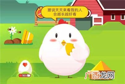 成语一龙一猪用来比喻两个人相差悬殊高下立判