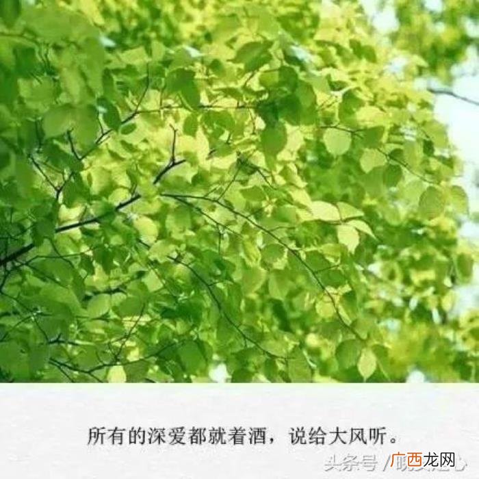 梦见不联系的旧情人，如果你梦到好久不联系的人
