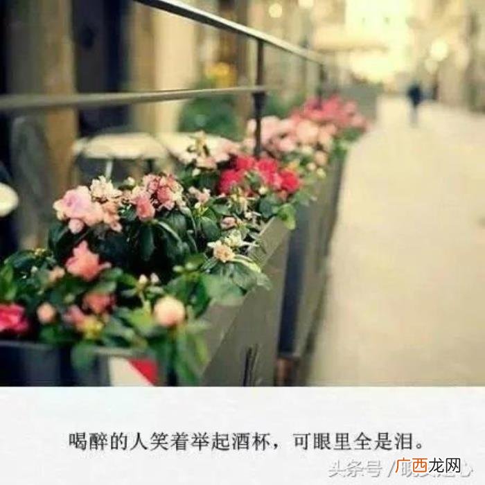 梦见不联系的旧情人，如果你梦到好久不联系的人