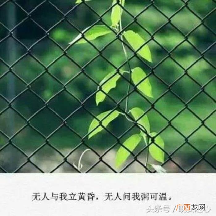 梦见不联系的旧情人，如果你梦到好久不联系的人