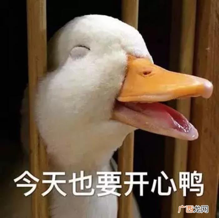 嫁给湖北男人注意事项，千万不要和湖北男生谈恋爱