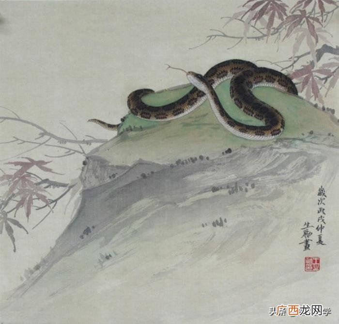 婚配属相表大全，12生肖婚配全解析