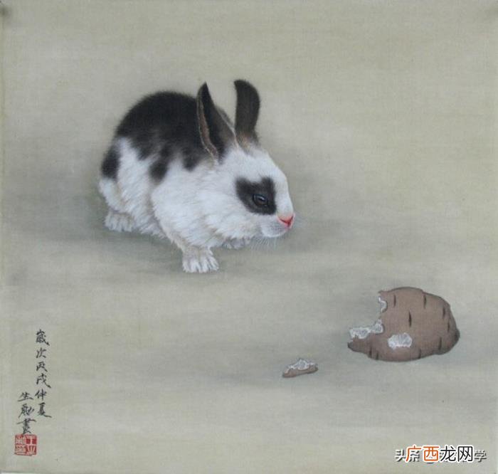 婚配属相表大全，12生肖婚配全解析