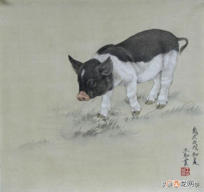 婚配属相表大全，12生肖婚配全解析