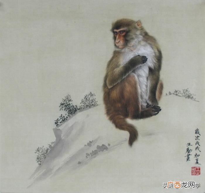 婚配属相表大全，12生肖婚配全解析