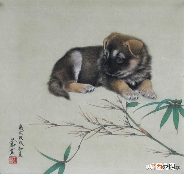 婚配属相表大全，12生肖婚配全解析