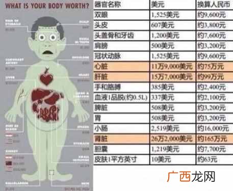 苹果6什么时候上市的，苹果手机上市款式顺序你