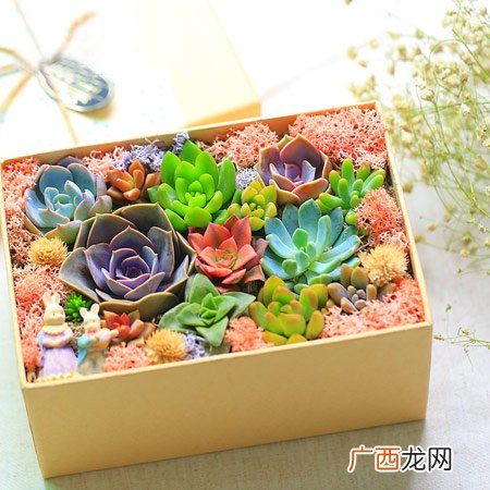 送同事100元左右的礼物大全 有面儿不寒碜