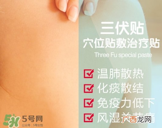 三伏贴能治哮喘吗？三伏贴治哮喘贴哪里哪个穴位？