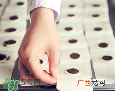 贴三伏贴可以吃鱼吗？贴三伏贴可以吃什么鱼？