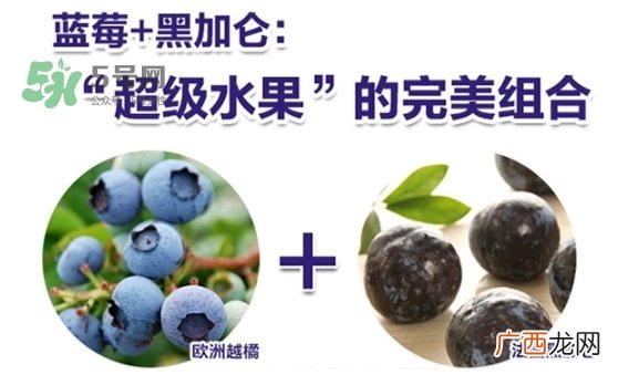 fancl蓝莓护眼怎么样?fancl蓝莓护眼和pola护眼哪个好