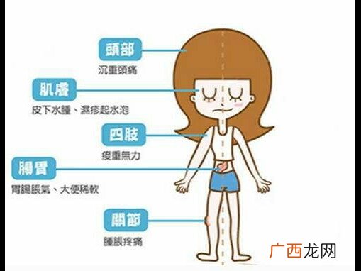 人体的湿气是怎么来的湿气重表现在哪些方面