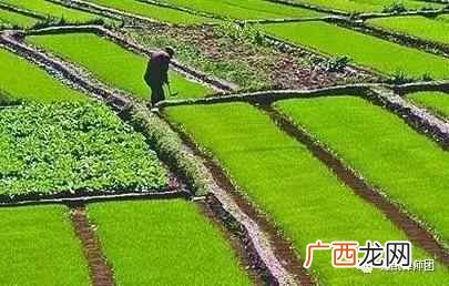 2019最新标准 国家土地征用补偿标准