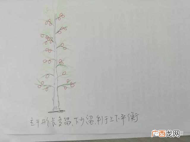 桃月是几月，桃月是什么意思！