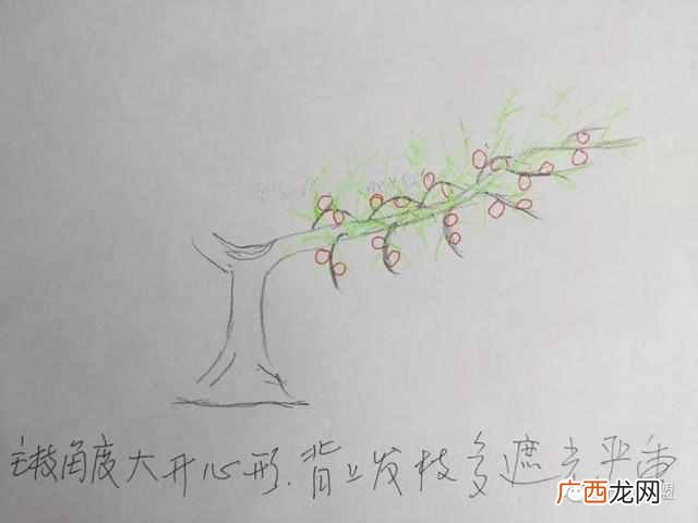 桃月是几月，桃月是什么意思！