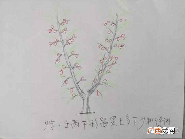 桃月是几月，桃月是什么意思！