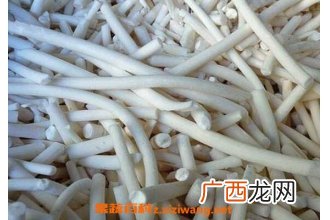 通奶草的作用与功效 通奶草真的可以下奶吗