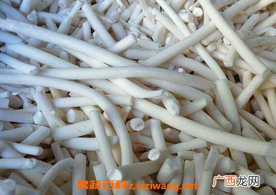 通奶草的作用与功效 通奶草真的可以下奶吗