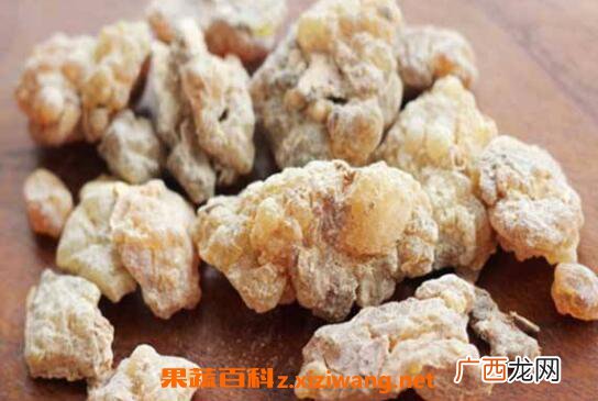 生乳香与制乳香的区别 乳香的功效与作用