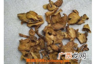 土大黄根的功效与作用