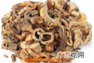 山枣根的作用与功效及药用价值