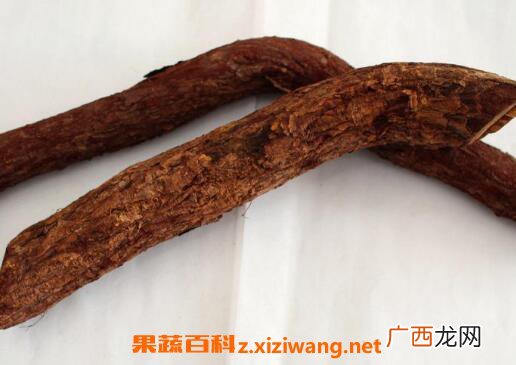 中药红穿破石的功效和作用及药用价值