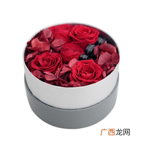 520网络情人节应该送女友什么花？