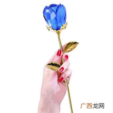 520网络情人节应该送女友什么花？